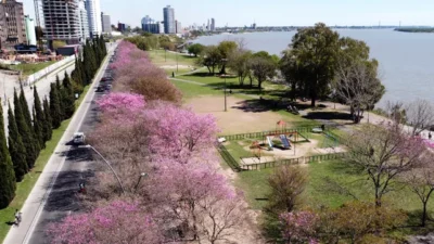 Arrancó el censo de árboles en los espacios verdes de Rosario