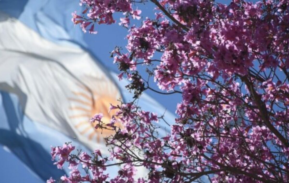 Gálvez impulsa un nuevo proyecto forestal