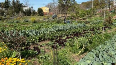 Gastronomía sostenible y producción local: proponen la creación del programa “Alianza Restaurante-Huerta”