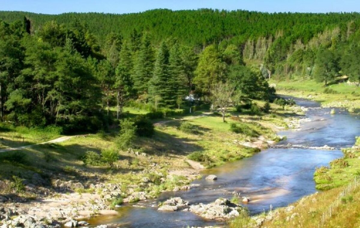 Los Reartes: el encanto de un pueblo tranquilo y pintoresco en pleno Calamuchita