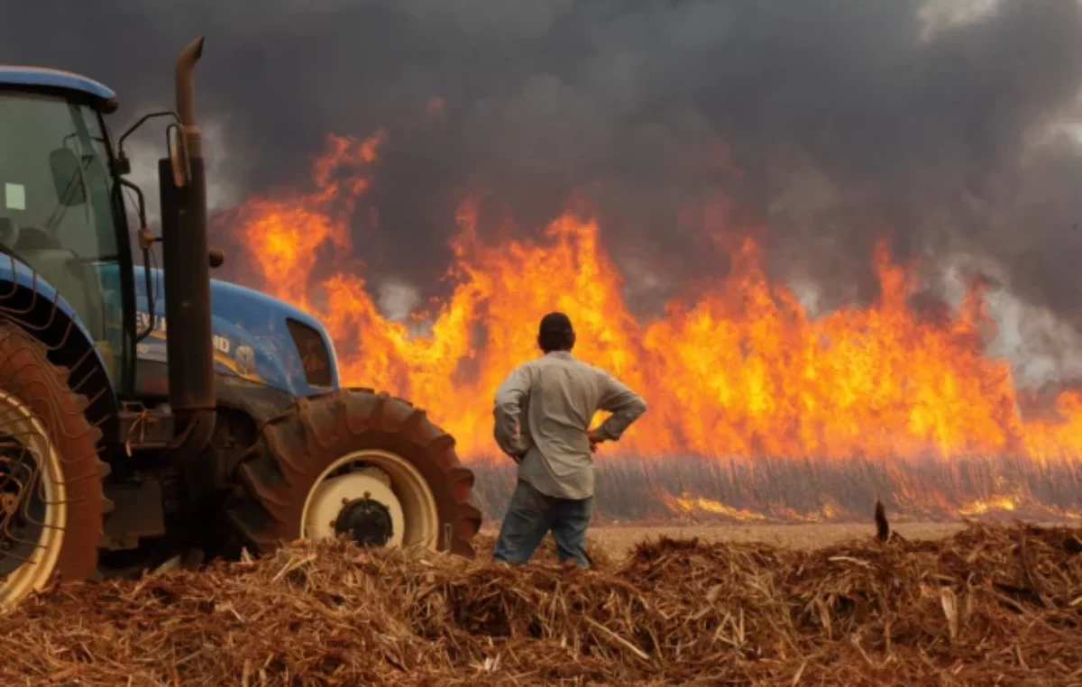 Los incendios aumentan en São Paulo y afectan a 10 municipios