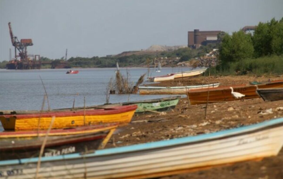 El drama a la vera del río Paraná: Victoria se queda sin agua y la pesca está en crisis