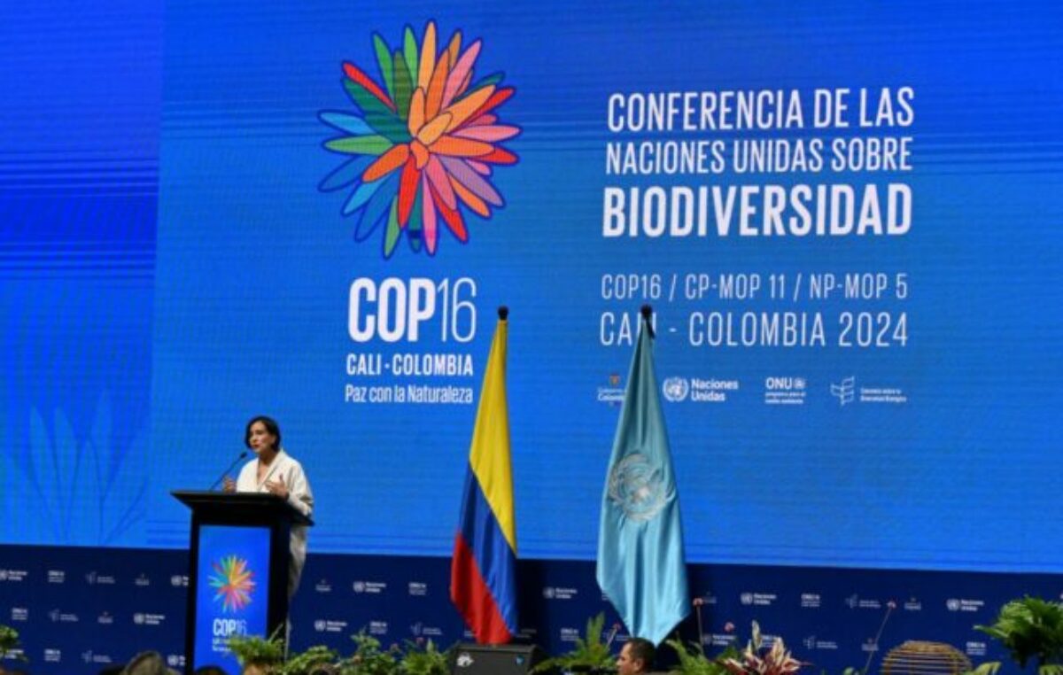 «No perdamos tiempo»: COP16 arranca con llamado urgente por la biodiversidad