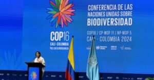 «No perdamos tiempo»: COP16 arranca con llamado urgente por la biodiversidad