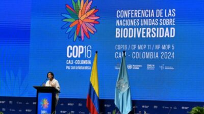 «No perdamos tiempo»: COP16 arranca con llamado urgente por la biodiversidad