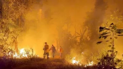 Aterrador: incendios forestales en Bolvia arrasan con millones de hectáreas