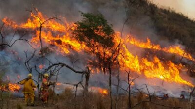 El fuego en las sierras ya arrasó con 100.000 hectáreas en lo que va del año