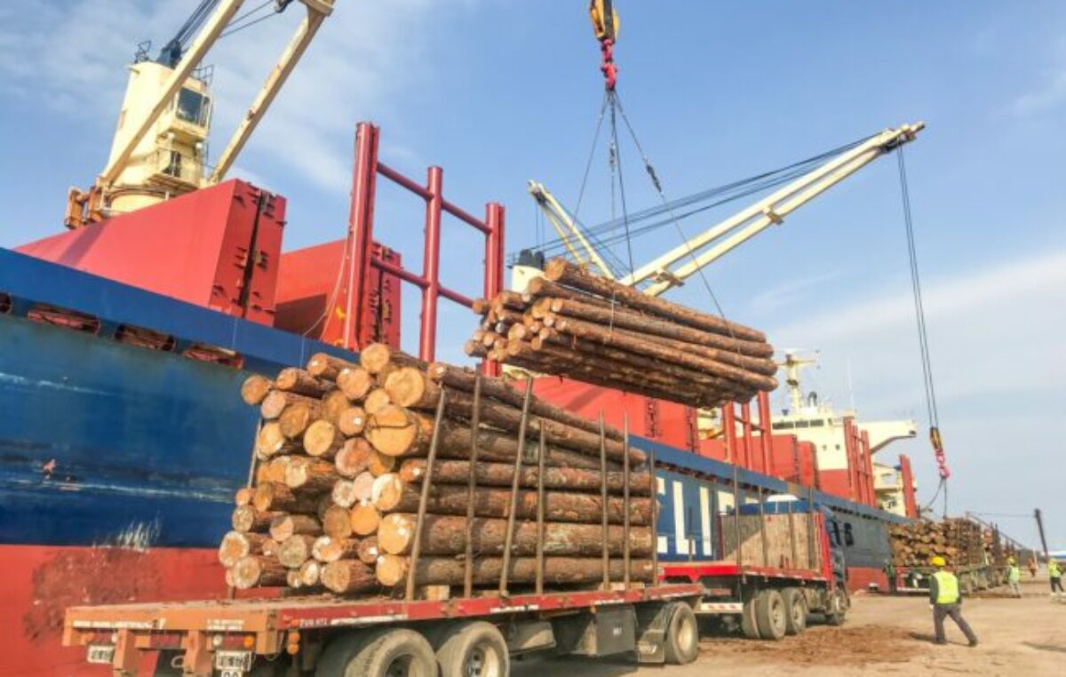 Unas 38.000 toneladas de madera se exportan desde los puertos de Entre Ríos