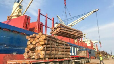 Unas 38.000 toneladas de madera se exportan desde los puertos de Entre Ríos