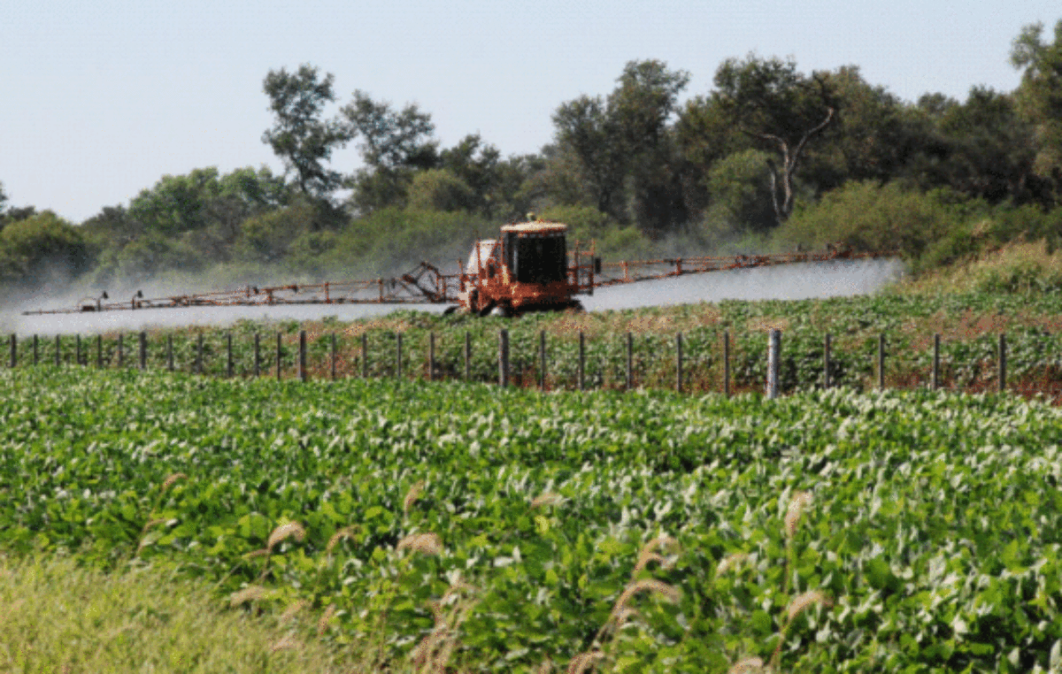 La Justicia liberó el uso de glifosato en el ejido de Gualeguaychú