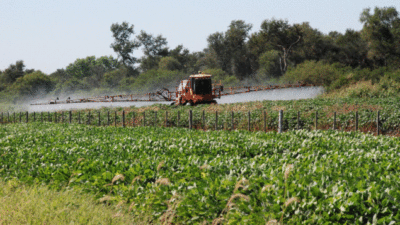 La Justicia liberó el uso de glifosato en el ejido de Gualeguaychú