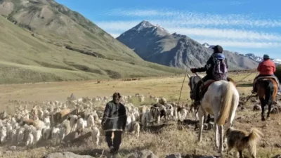 Neuquén anunció aportes para la actividad trashumante