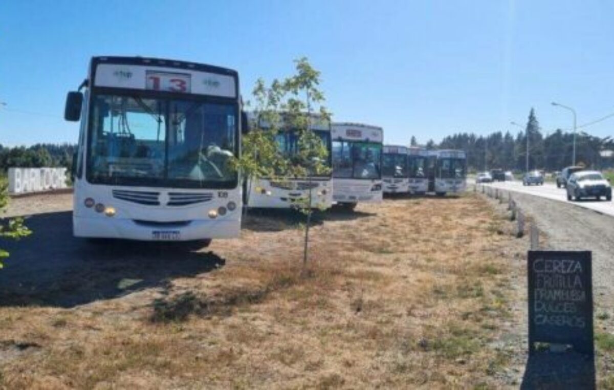 Bariloche: Mi Bus enfrenta una crisis financiera por falta de subsidios y una deuda retroactiva amenaza su servicio