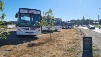 Bariloche: Mi Bus enfrenta una crisis financiera por falta de subsidios y una deuda retroactiva amenaza su servicio