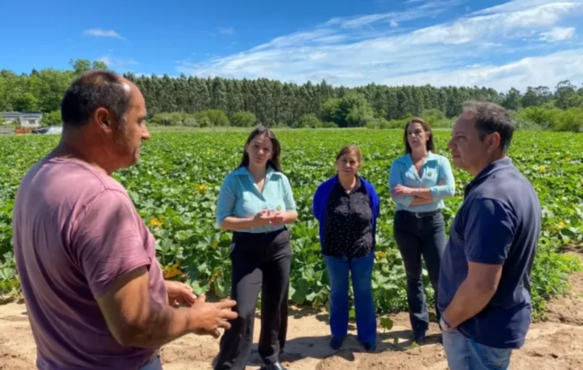 Productores agroecológicos de Concordia obtuvieron el sello municipal