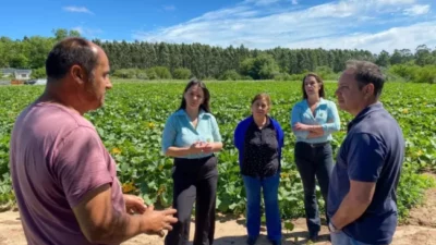 Productores agroecológicos de Concordia obtuvieron el sello municipal