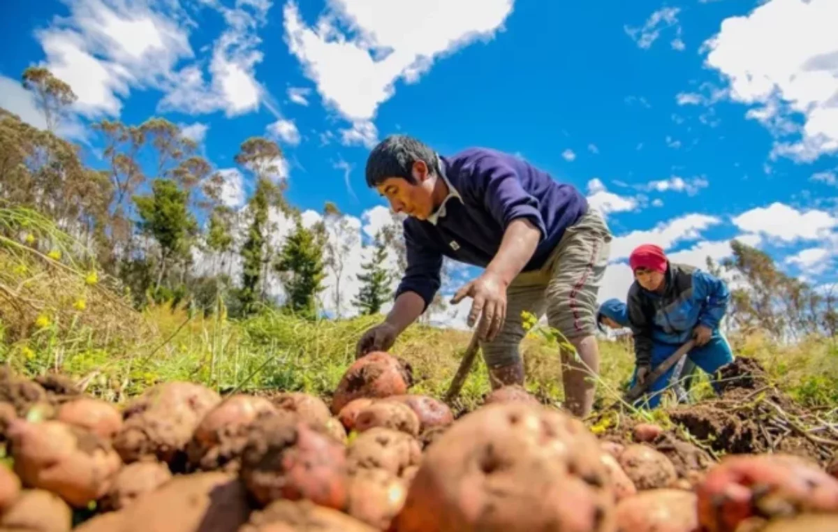 Eliminación de programas del Inta ya impacta en Jujuy