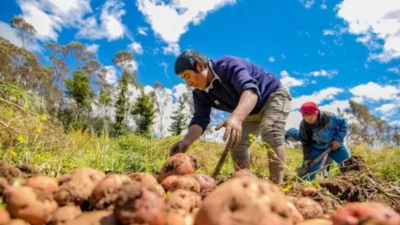 Eliminación de programas del Inta ya impacta en Jujuy