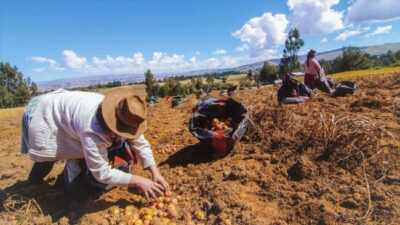 El 60% de hogares peruanos depende de la informalidad