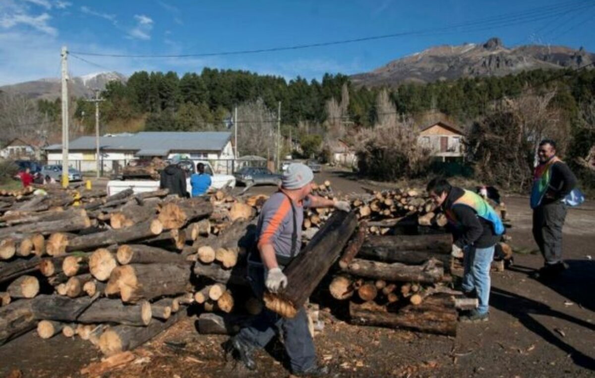 Plan Calor 2024 en Bariloche, se entregó más de 7.400 metros cúbicos de leña a familias vulnerables