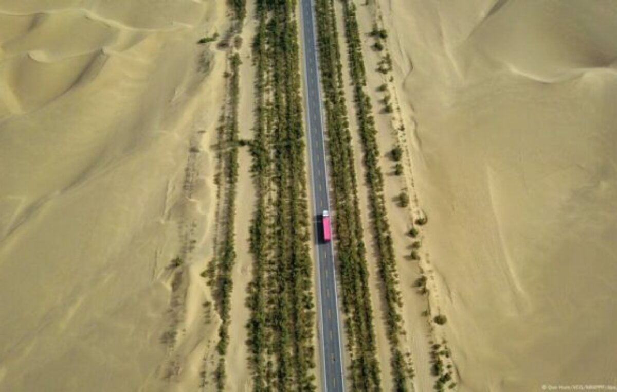 China termina muro forestal de 3.000 km para frenar desierto