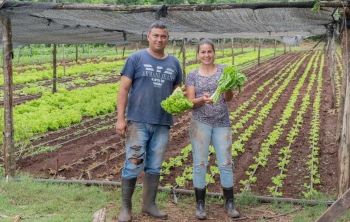 Misiones avanza en el fomento de la agroecología y la producción sustentable: más de 20 mil familias fueron beneficiadas con programas que fortalecieron a sus chacras 