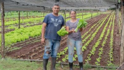 Misiones avanza en el fomento de la agroecología y la producción sustentable: más de 20 mil familias fueron beneficiadas con programas que fortalecieron a sus chacras 