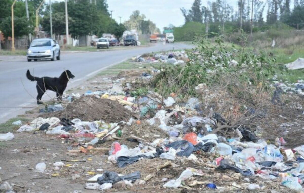 En cinco años, la recolección de basura sólo de minibasurales subió 108% en Santa Fe