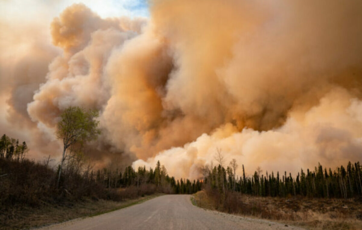 Creciente negación de líderes globales a la crisis climática pone en riesgo avanzar en medidas esenciales para el futuro