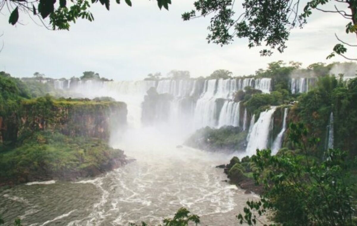 Misiones será el primer Estado subnacional a nivel mundial en recibir una compensación en créditos de carbono