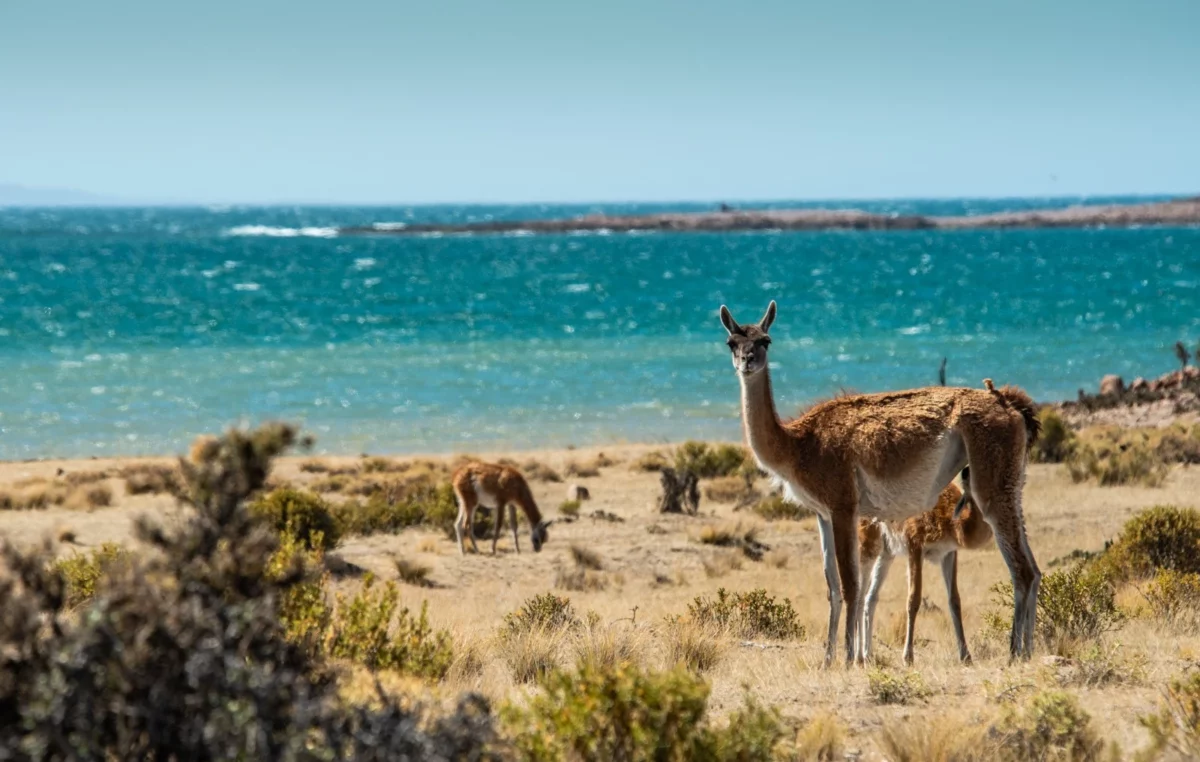 Buscan posicionar el corredor de la Ruta Azul este verano