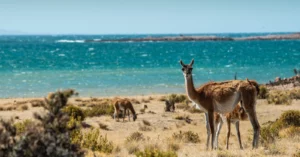 Buscan posicionar el corredor de la Ruta Azul este verano