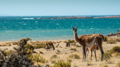 Buscan posicionar el corredor de la Ruta Azul este verano