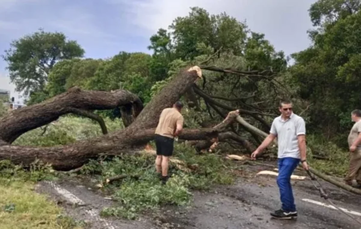 Santa Fe: El abandono de la Ruta 11 obliga a las comunas a hacerse cargo del corredor