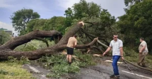 Santa Fe: El abandono de la Ruta 11 obliga a las comunas a hacerse cargo del corredor