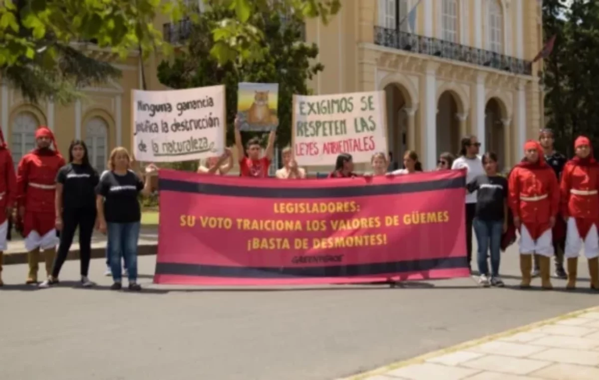 Deforestación Chaco y Salta: polémica por el nuevo Ordenamiento Territorial de Bosques Nativos