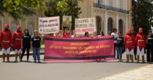 Deforestación Chaco y Salta: polémica por el nuevo Ordenamiento Territorial de Bosques Nativos