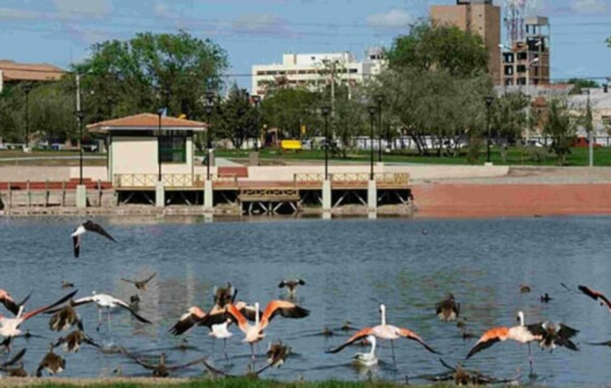 Trelew fue declarada «Ciudad de Humedales»