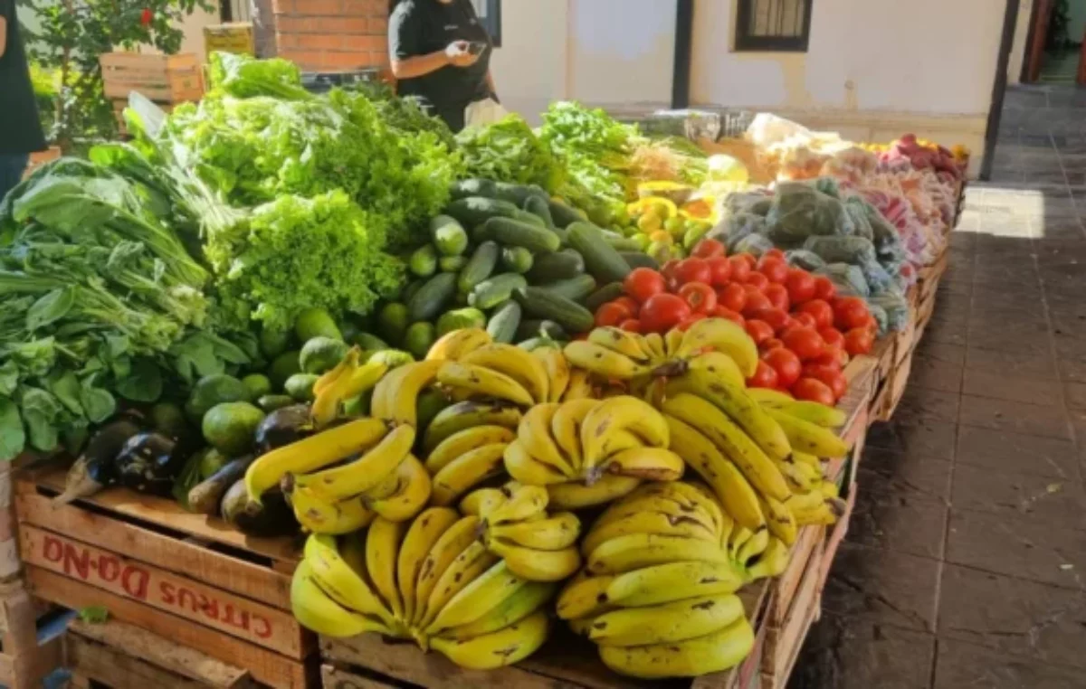 Verdulerías y productores en Posadas buscan alternativas para reducir el desperdicio de alimentos  