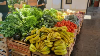 Verdulerías y productores en Posadas buscan alternativas para reducir el desperdicio de alimentos  