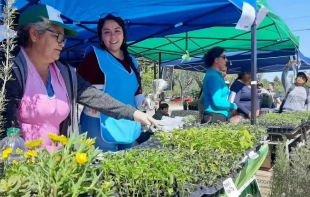 Neuquén: Cómo las mujeres de la huerta de Cuenca XV le cambiaron el espíritu al barrio