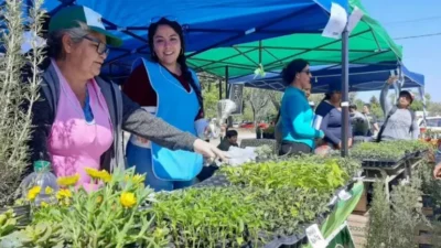 Neuquén: Cómo las mujeres de la huerta de Cuenca XV le cambiaron el espíritu al barrio