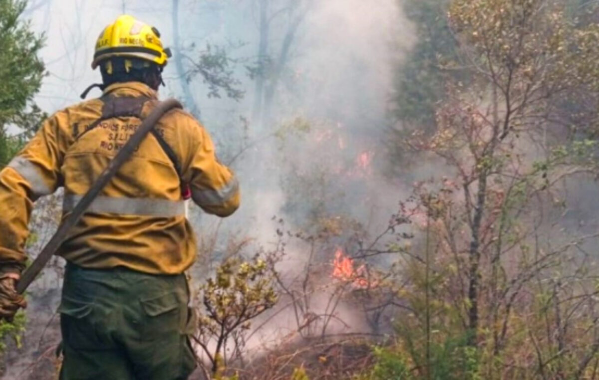 Más de 100 mil hectáreas incendiadas en Corrientes