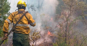 Más de 100 mil hectáreas incendiadas en Corrientes