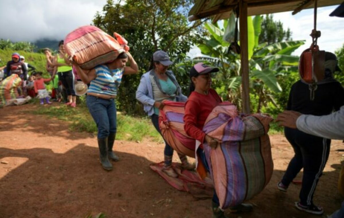 Qué consecuencias tendrá en América Latina la paralización de la ayuda al desarrollo ordenada por Trump