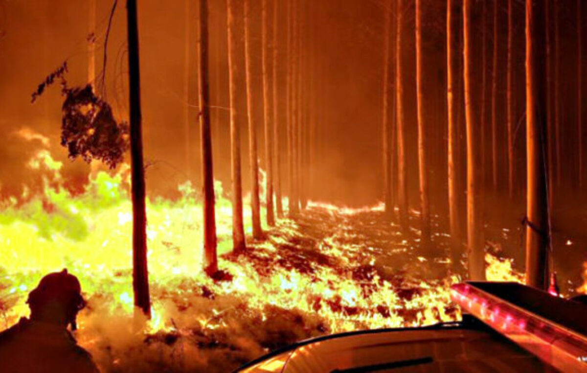 Corrientes: El fuego y las víctimas de las carencias de políticas públicas