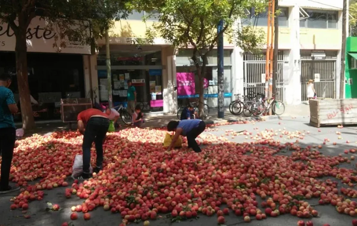 Crece el fantasma del descarte de peras y manzanas en el Alto Valle