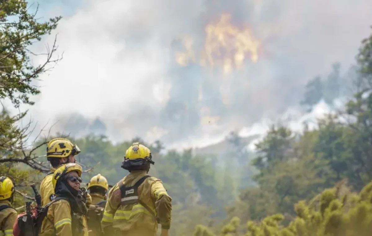 Incendio en el Parque Nacional Lanín: el silencio de Javier Milei