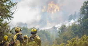 Incendio en el Parque Nacional Lanín: el silencio de Javier Milei