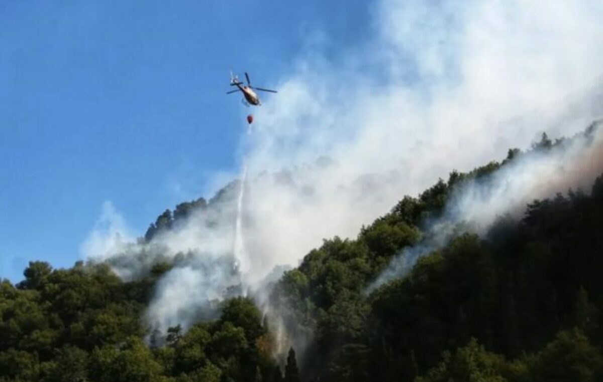 Incendios en la Patagonia: en Parque Nacional Lanín sigue activo, en el Nahuel Huapi avanza sin control